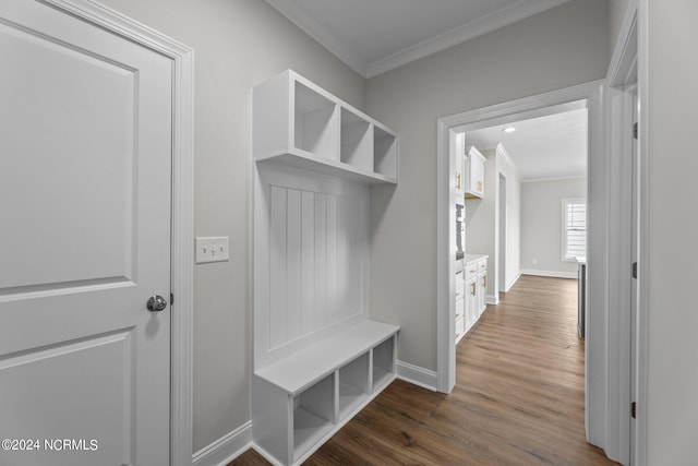 mudroom featuring dark wood-type flooring and ornamental molding