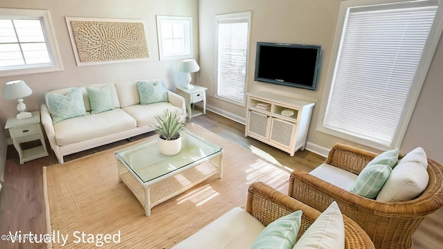 living room featuring hardwood / wood-style flooring and a wealth of natural light