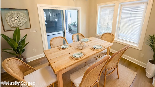 dining room with dark hardwood / wood-style flooring