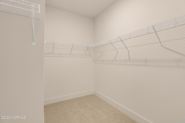 spacious closet with carpet flooring