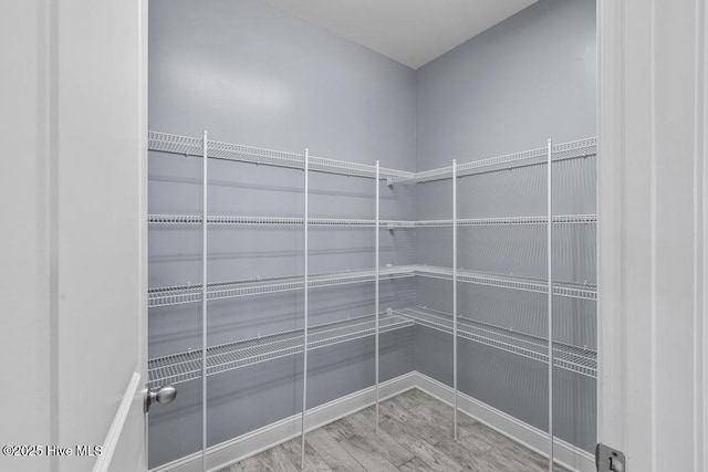 walk in closet featuring hardwood / wood-style floors