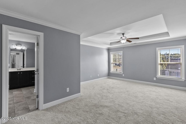 unfurnished room featuring a raised ceiling, carpet, and a wealth of natural light