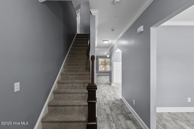 staircase with hardwood / wood-style flooring, ceiling fan, and ornamental molding