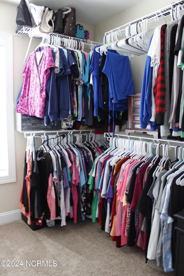 walk in closet featuring carpet floors