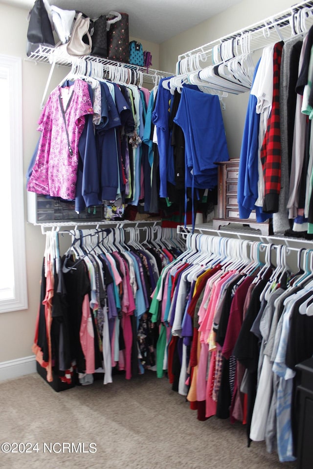 walk in closet with carpet