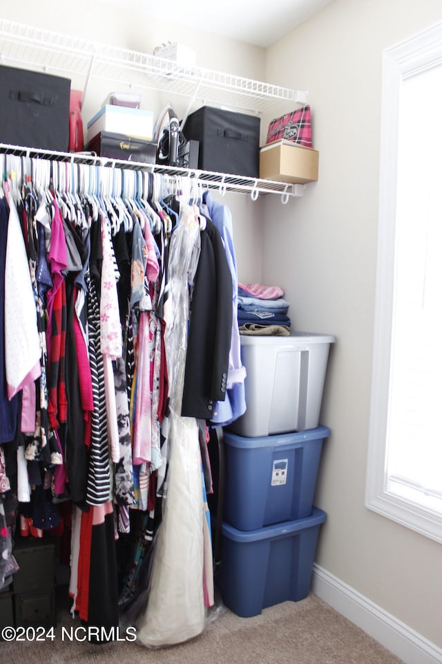 spacious closet with carpet floors