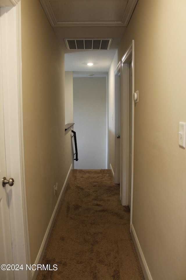 hallway featuring carpet