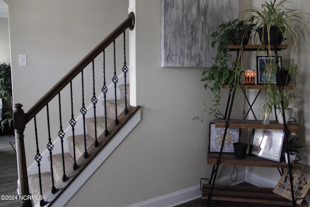 stairs with wood-type flooring