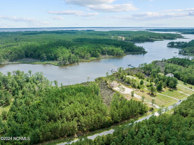 LOT19 Bailey Pointe Dr Unit 19, Belhaven NC, 27810 land for sale