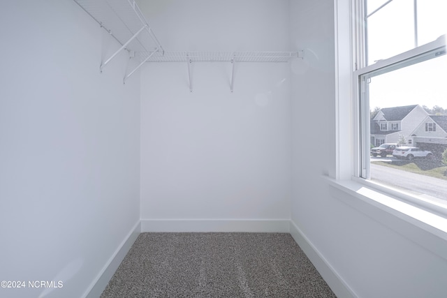 spacious closet featuring carpet