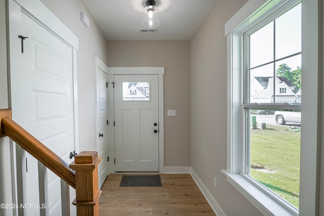 entrance foyer featuring light hardwood / wood-style flooring and plenty of natural light