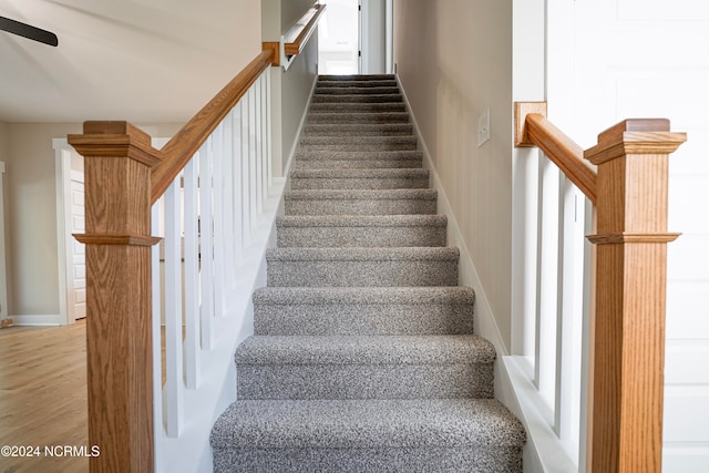 stairway featuring wood-type flooring