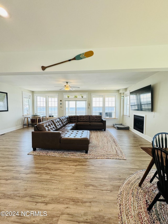 living room with wood-type flooring, plenty of natural light, and ceiling fan