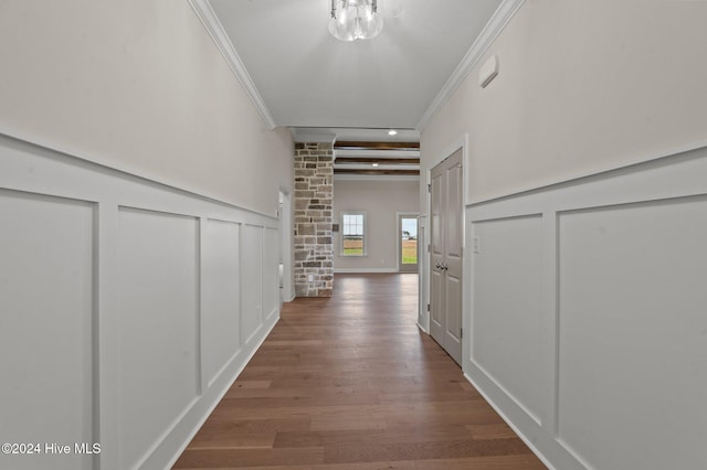 corridor featuring crown molding and dark wood-type flooring