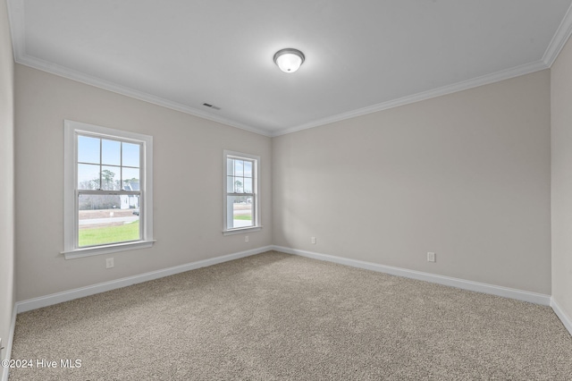 empty room with crown molding and carpet