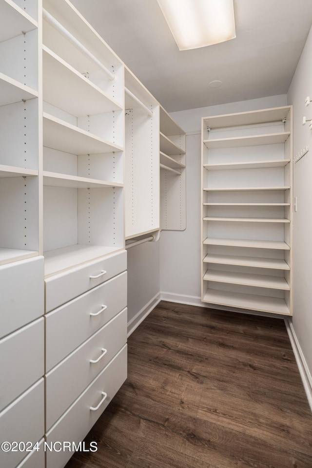 spacious closet featuring dark wood-type flooring