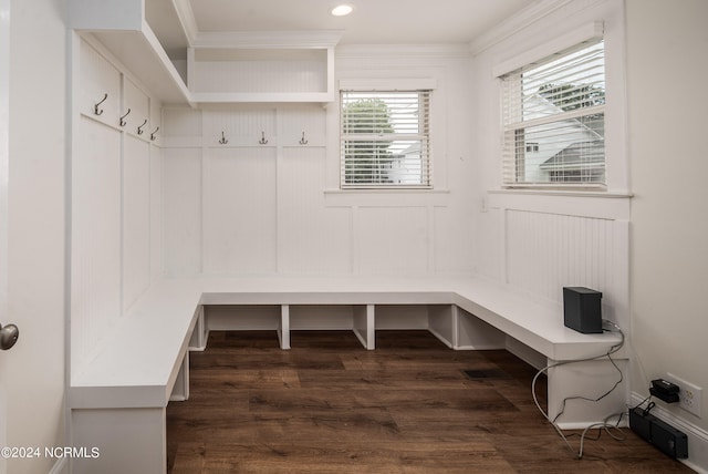 mudroom featuring a wealth of natural light and dark wood-type flooring