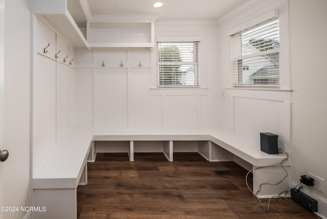519 E Water St, Belhaven, NC 27810 - mudroom featuring ornamental molding, dark wood-type flooring, and recessed lighting