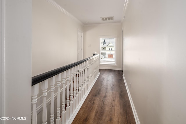519 E Water St, Belhaven, NC 27810 - corridor featuring dark wood-style flooring and crown molding