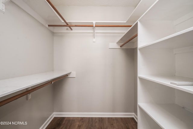 spacious closet featuring dark hardwood / wood-style flooring