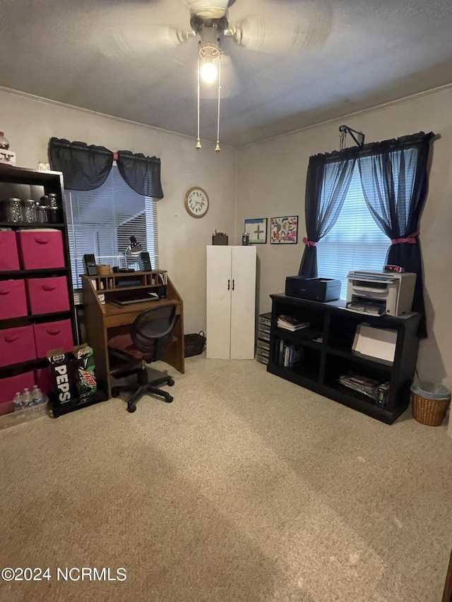 view of carpeted office space