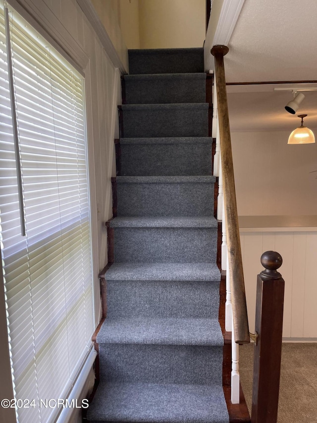 stairway with carpet floors