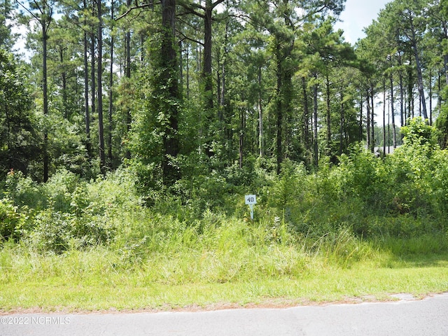 116 Cedarwood Unit 40, Havelock NC, 28532 land for sale