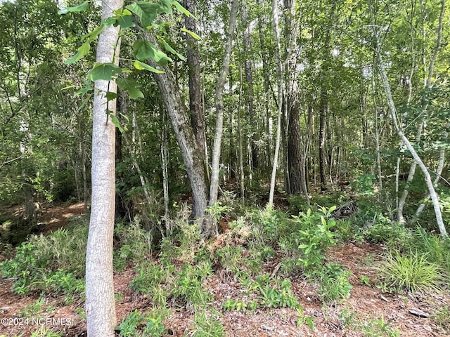 103 Berkshire Ct, West End, NC 27376