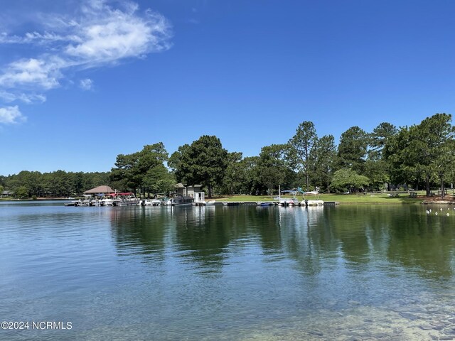 103 Berkshire Ct, West End, NC 27376