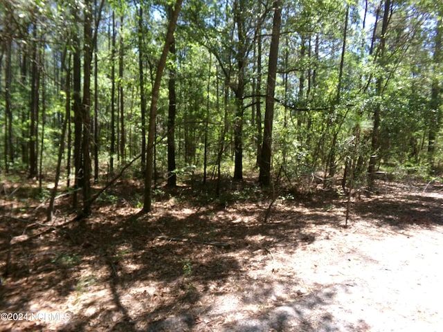 OFF Sunshine Rd, White Oak NC, 28399 land for sale