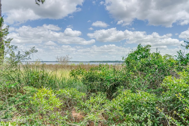 view of nature featuring a water view