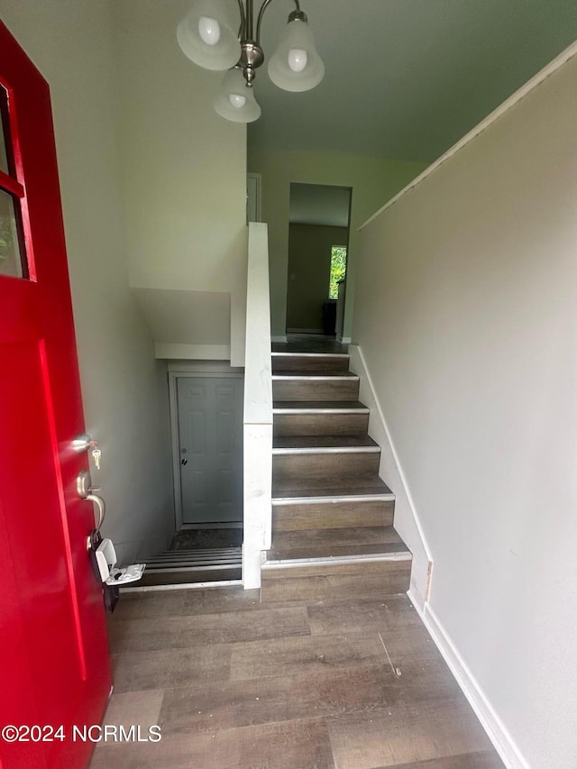 stairway featuring wood-type flooring