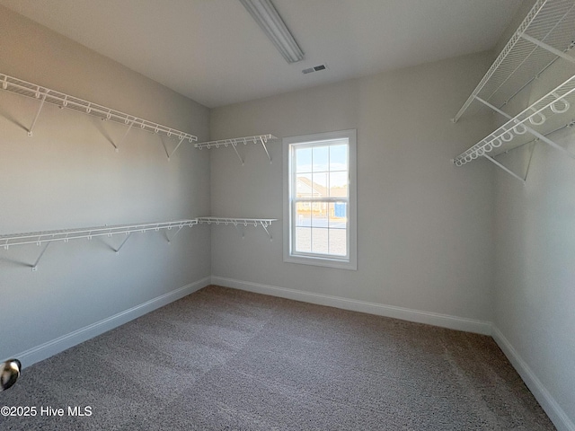 walk in closet with carpet floors