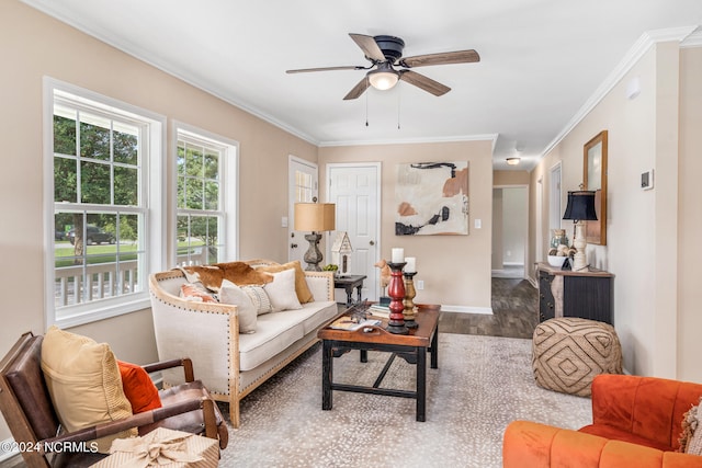 living room featuring ceiling fan, hardwood / wood-style floors, and ornamental molding