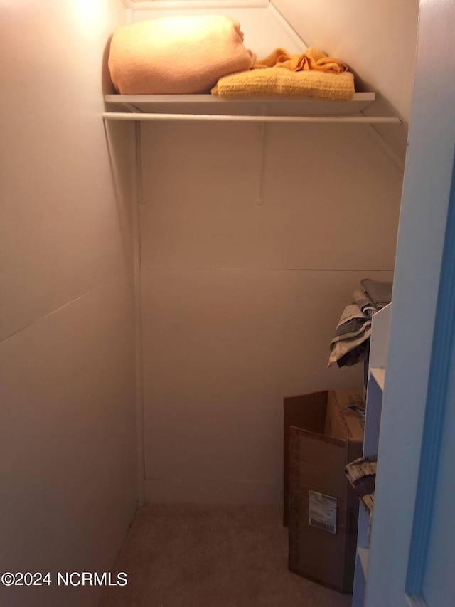 spacious closet featuring carpet