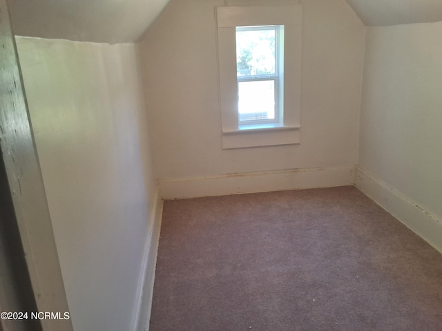 additional living space with carpet and lofted ceiling