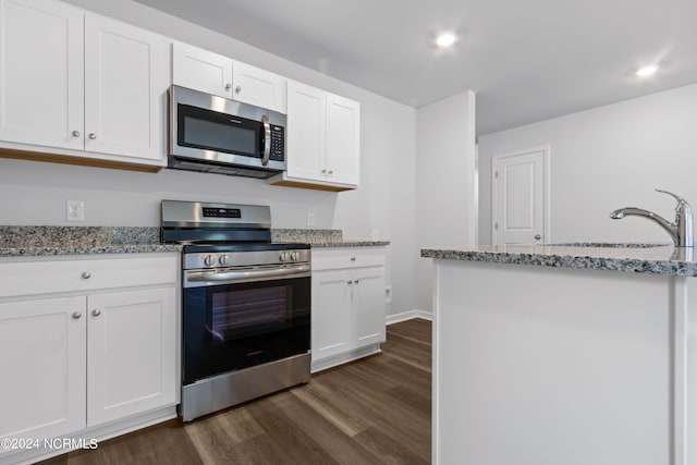 kitchen with white cabinetry, dark hardwood / wood-style flooring, light stone countertops, and appliances with stainless steel finishes