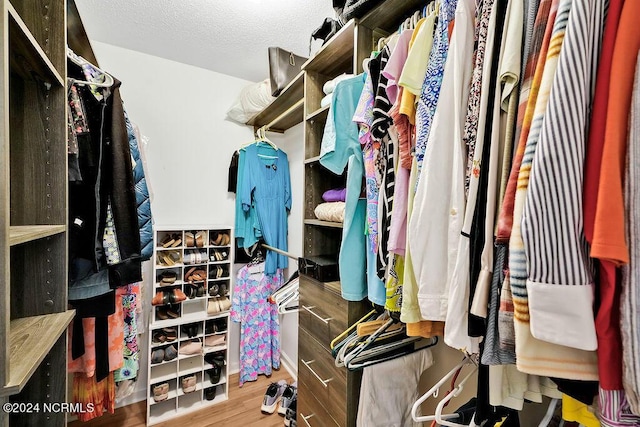 spacious closet featuring wood finished floors