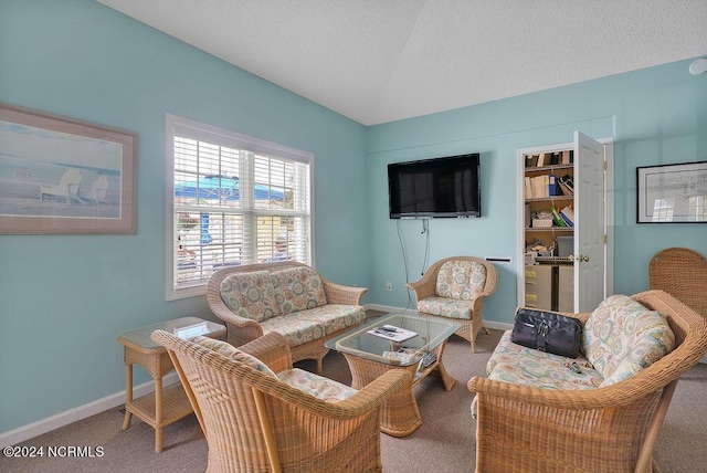 carpeted living room featuring baseboards, vaulted ceiling, and a textured ceiling