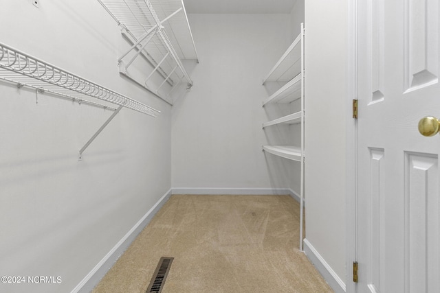 spacious closet featuring light carpet