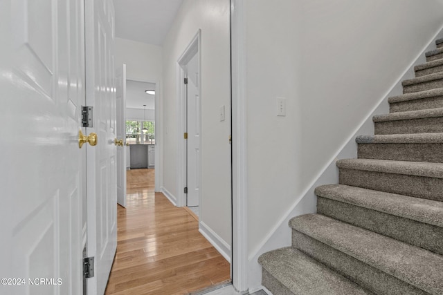 stairs with hardwood / wood-style floors