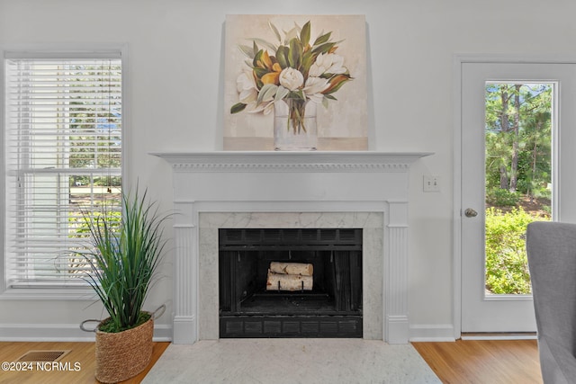 details with hardwood / wood-style flooring and a fireplace