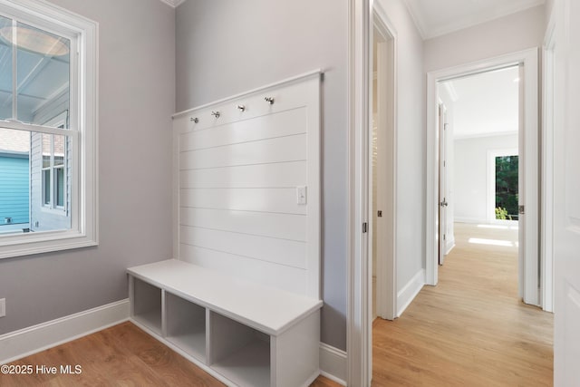 mudroom with crown molding and light wood-type flooring