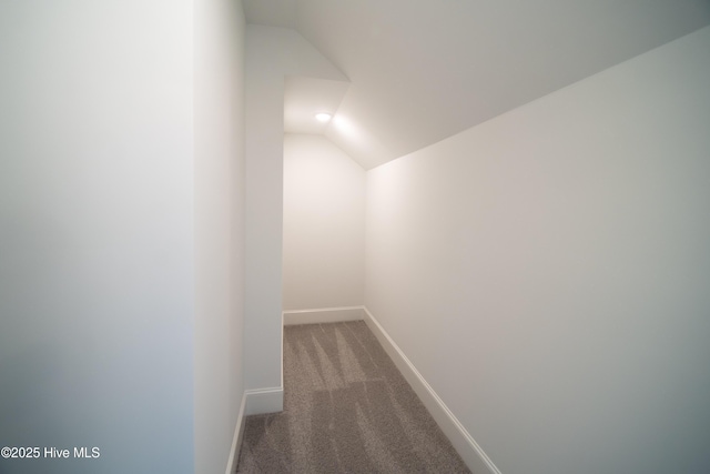 hallway featuring vaulted ceiling and carpet