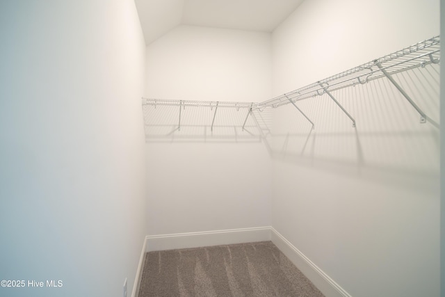 walk in closet featuring lofted ceiling and carpet flooring
