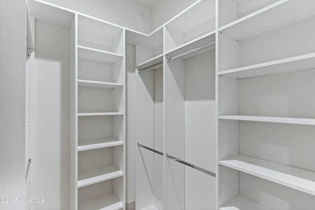 view of walk in closet