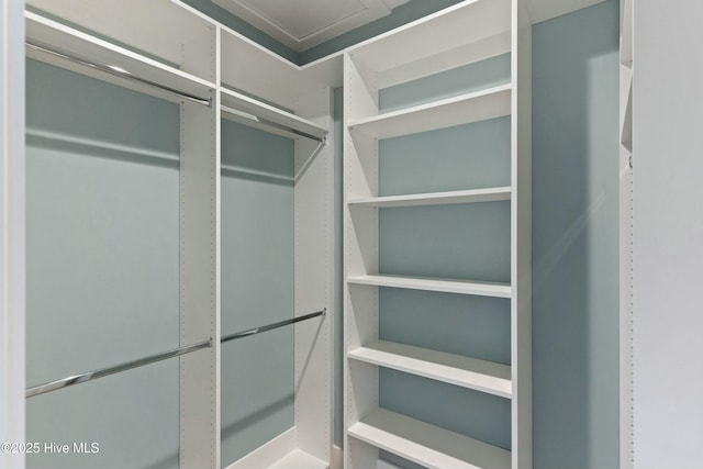 view of spacious closet