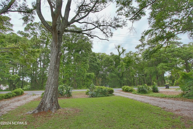 view of home's community featuring a yard