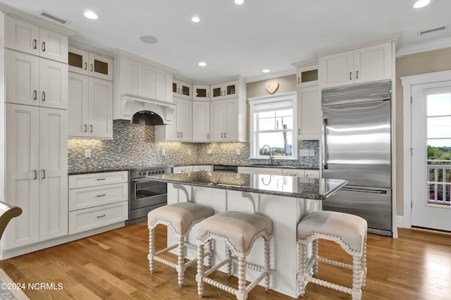 kitchen with light wood-type flooring, plenty of natural light, and high end appliances