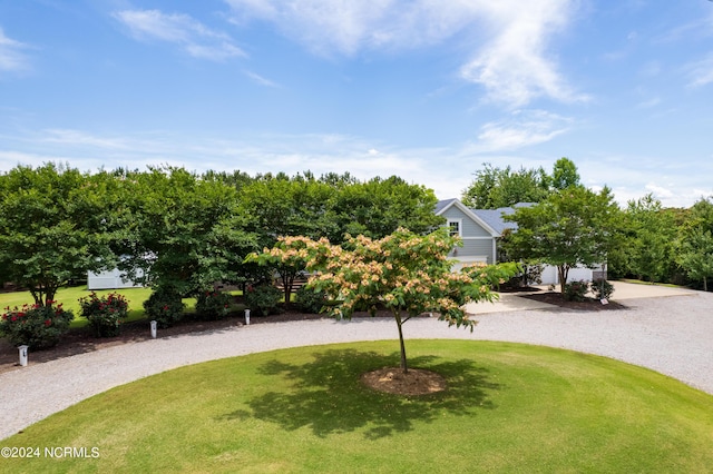 view of yard featuring gravel driveway